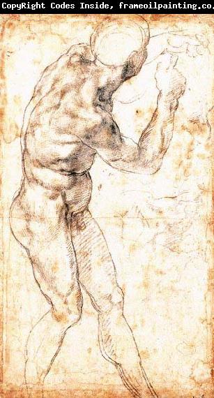 Michelangelo Buonarroti Male Nude